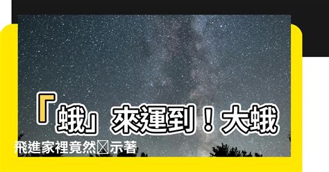 蛾飛進家裡|【大蛾飛進家裡】大蛾飛進家裡！當心「這兩件事」將發生！